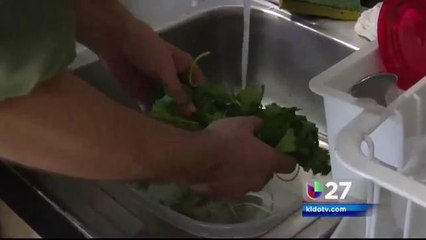 Prohíben Entrada de Cilantro