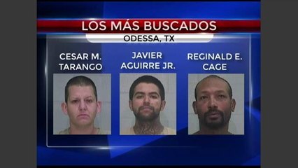 Los cinco mas buscados