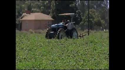 Posibles efectos del "Niño" en la Costa Central de California