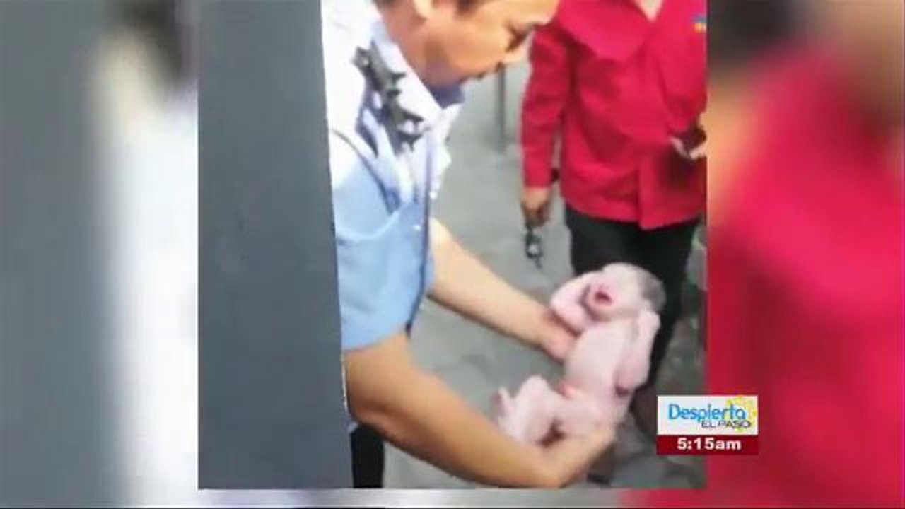 Rescatan a Recien Nacida de Tubería