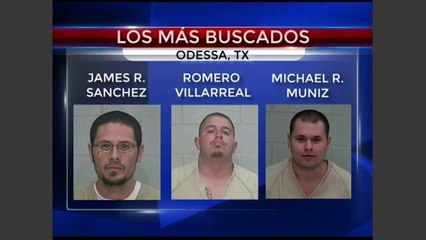 Los cinco más buscados