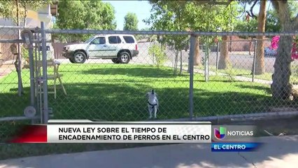 Nueva ley sobre el tiempo de encadenamiento de perros