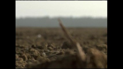 Logran recortes de agua