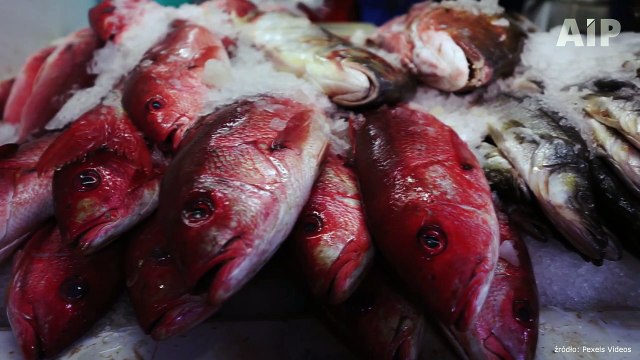 Dlaczego karpia warto jest jeść przez cały rok?