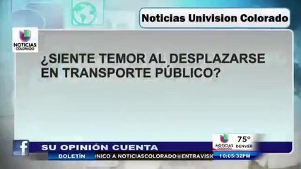 Sus respuestas a la pregunta del día