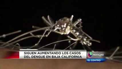 Se registra diez casos de dengue en lo que va del año en B.C