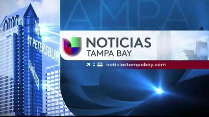 Noticias Tampa Bay 6 pm - Segundo Bloque - 8/13/15