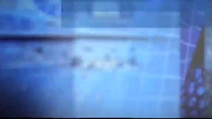 Noticias tampa Bay 11 pm. - Tercer Bloque - 8/11/2015