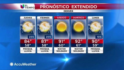 Fotografías de sus perros en su día