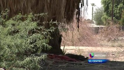 El departamento de policia de Yuma identifica cuerpo sin vida