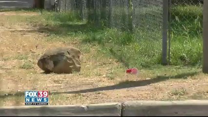 Shots Fired at Bayard and S. New York Intersection