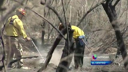 Bomberos de Yuma unen esfuerzo para sofocar incendio en Mittry Lake