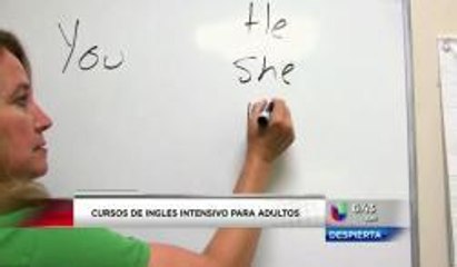 Cursos intensivos de Inglés para adultos