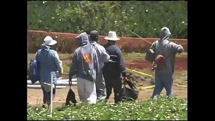 Casas economicas para Agricultores