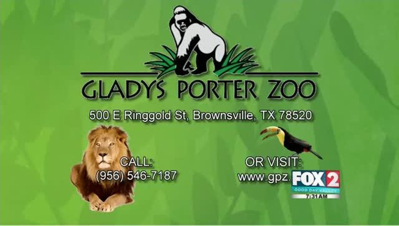 zoo
