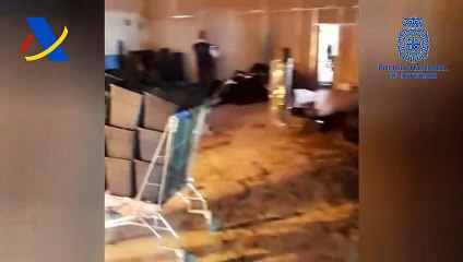 Desmanteladas dos plantaciones de marihuana en Carmona y Camas