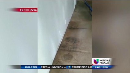 Mujer denuncia posible negligencia por parte de arrendador