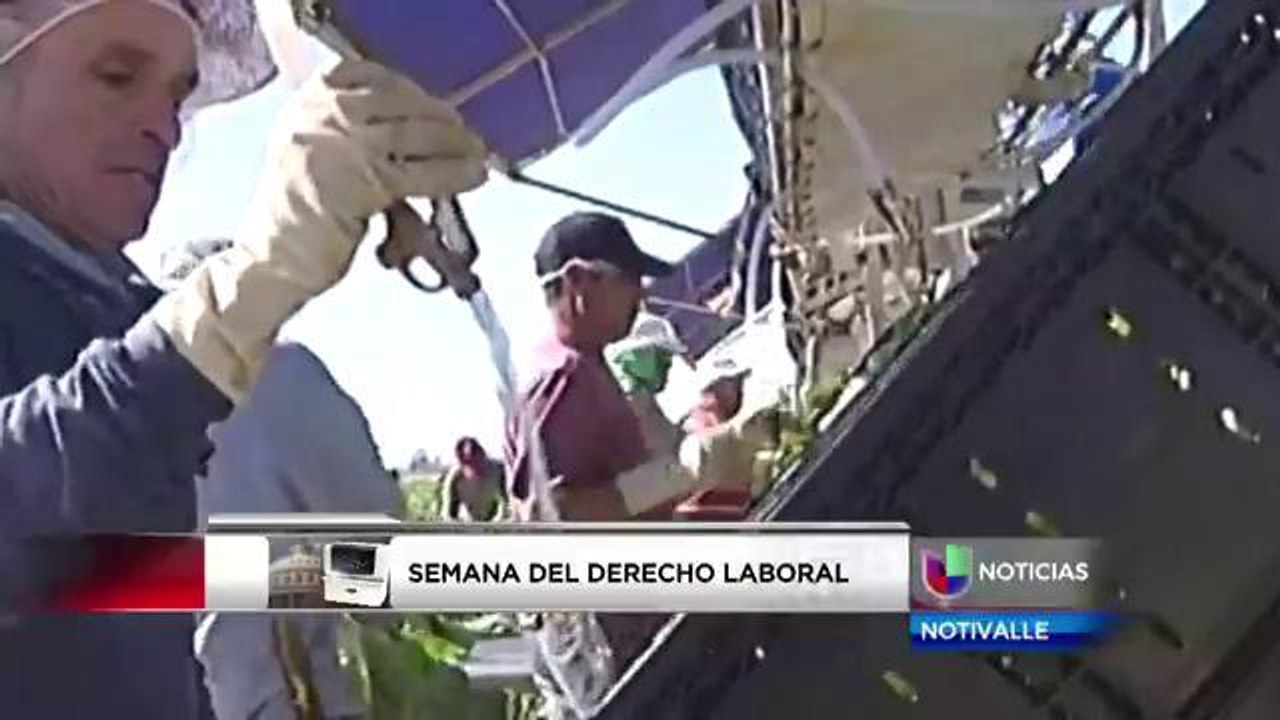 Semana de derecho laboral