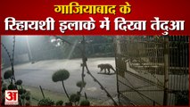 गाजियाबाद के राजनगर में नजर आया तेंदुआ। Leopard In Ghaziabad। Leopard Viral Video। Ghaziabad Video।