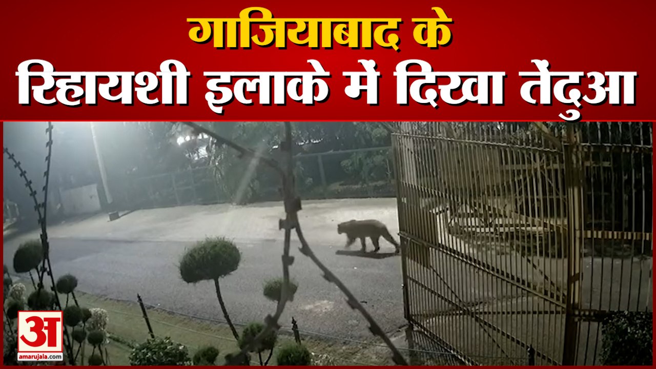 गाजियाबाद के राजनगर में नजर आया तेंदुआ। Leopard...