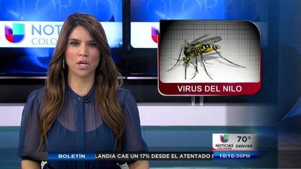 Primer caso de Virus del Nilo este año se diagnostica en el condado Weld