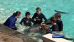 Niños superan recuperación de enfermedades con ayuda de delfines