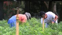 Semana de derechos laborales