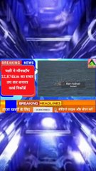 बार टेल्ड गाडविट 12847 Km का सफर तय किया बिना रुके || Bar Tailed Godwit Bird