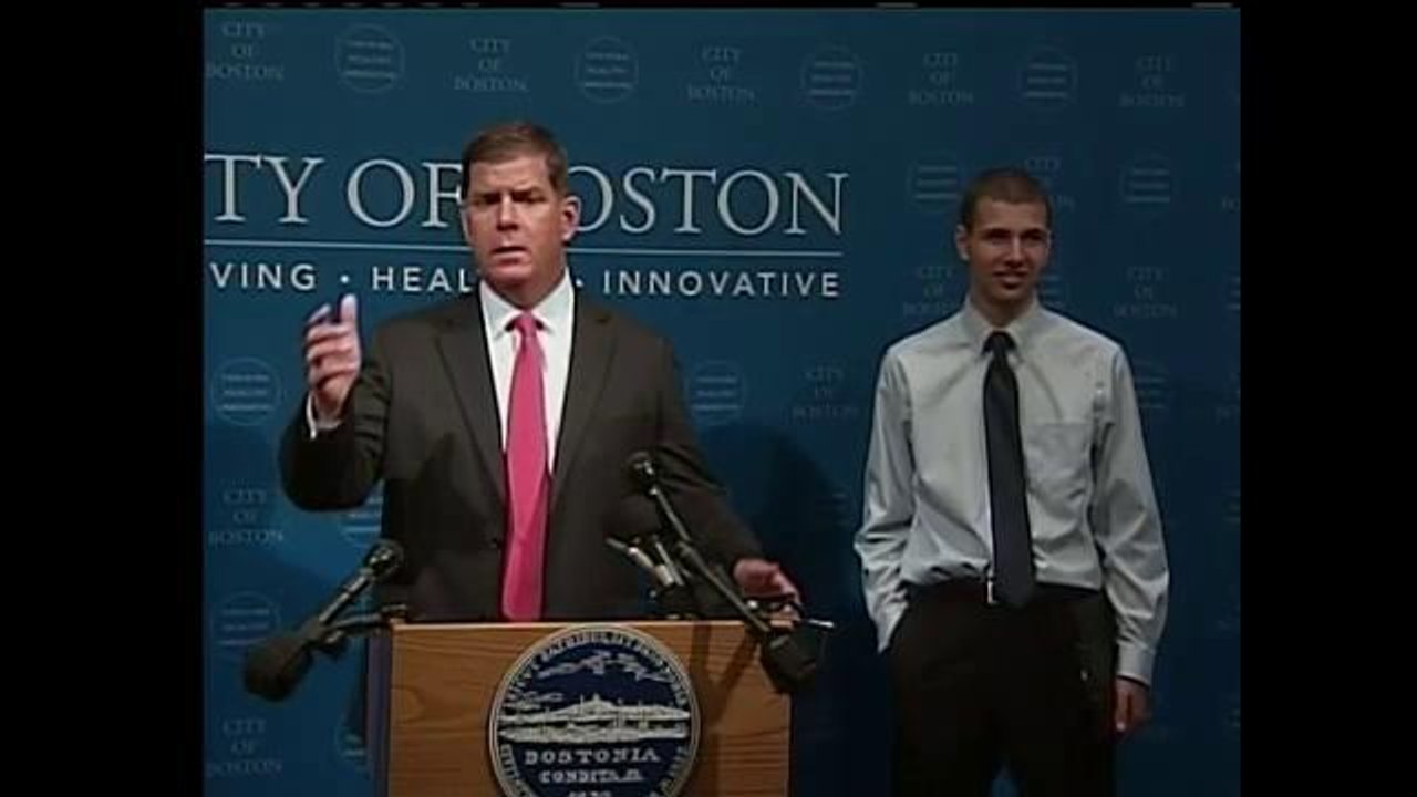 Boston de dorado