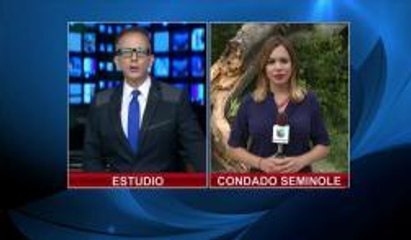 Arbol cae sobre residencia en Casselberry