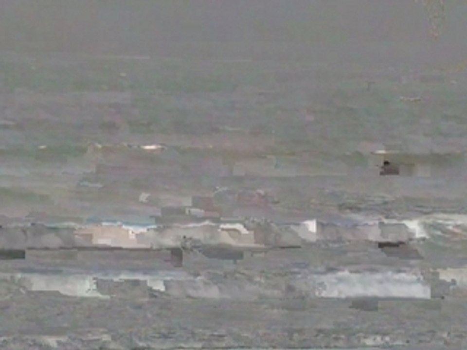 2007