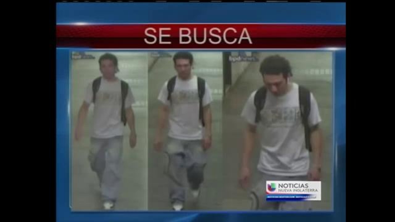 Se busca