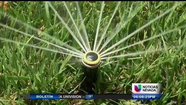 Anuncian nuevos horarios de riego