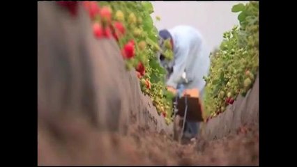 Mejores condiciones laborales Santa Maria, CA(Entravision)