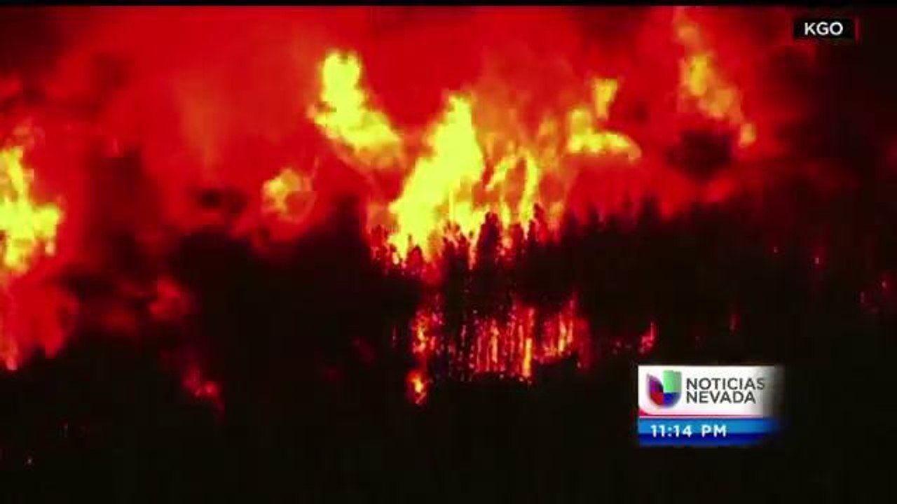 Evite incendio forestales