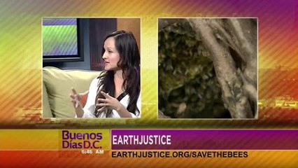 Piensa Verde: Pesticidas y Las Abejas