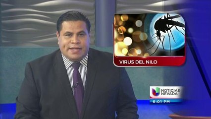 Primer Caso de Virus Del Nilo