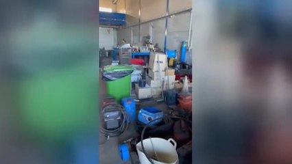 Los grandes damnificados del volcán