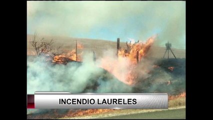 Incendio Laureles