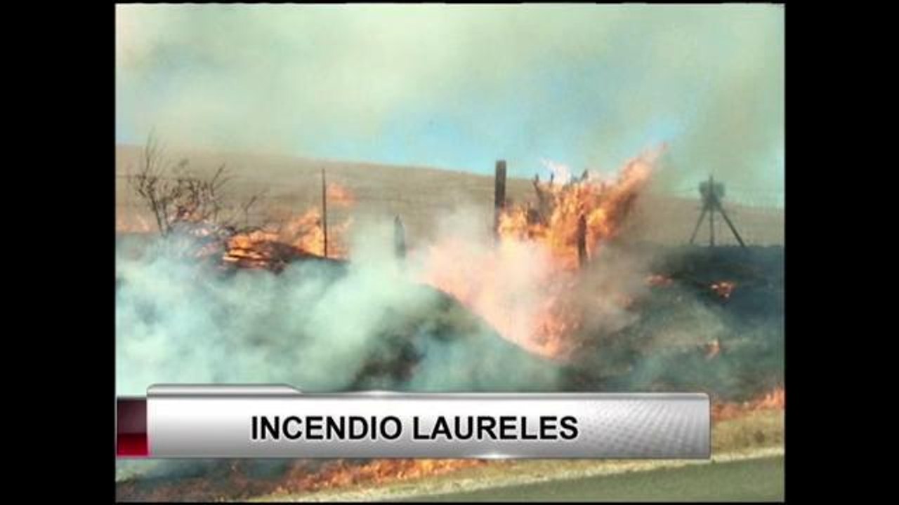 Incendio Laureles