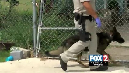 Authorities Raid Edinburg Home