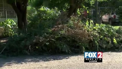 Residents, City Officials and Police Teaming up for Neighborhood Cleanup