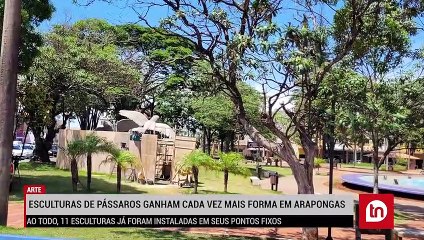 Esculturas de pássaros ganham cada vez mais forma em Arapongas