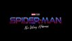 SPIDER-MAN – NO WAY HOME (2021) Trailer #2 VO - HD