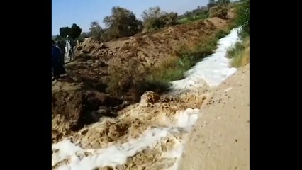 Klimawandel: Erst das Wasser, dann die giftigen Skorpione