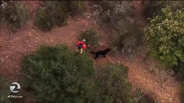 Investigators Return To Santa Cruz Mountains Looking For Clues