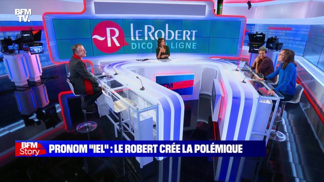 Story 2 : L'entrée du pronom neutre iel dans Le Petit Robert crée la polémique - 17/11