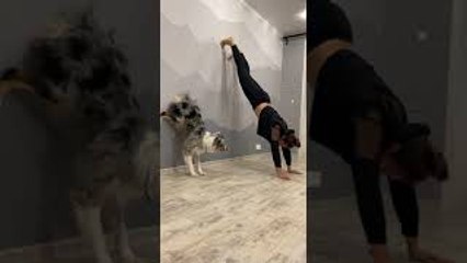Pup Works Out with Its Person