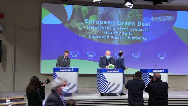 Déforestation : l'UE veut verdir ses importations, les ONG regrettent des lacunes