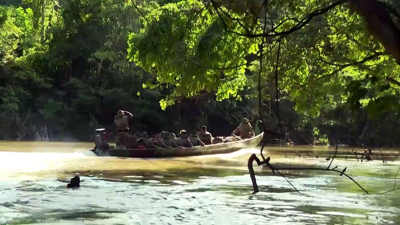 En Guyane, la lutte sans fin contre les chasseurs d'or illégaux